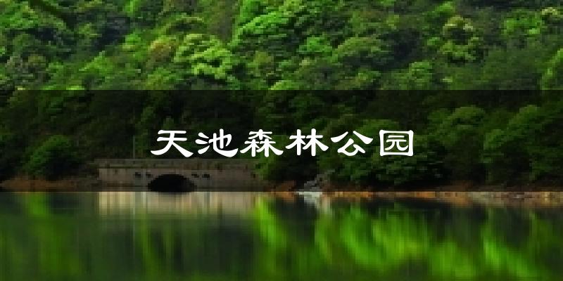 天池森林公園氣溫