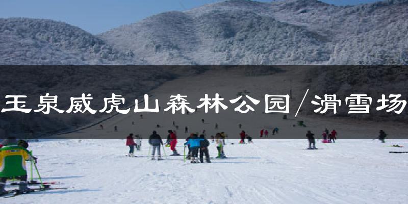 玉泉威虎山森林公園/滑雪場(chǎng)氣溫